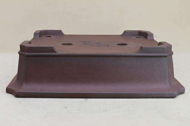 Amazon | 【盆栽鉢】 時代鉢 松泉焼 山秋造 紫泥角入長方（左右36.5cm